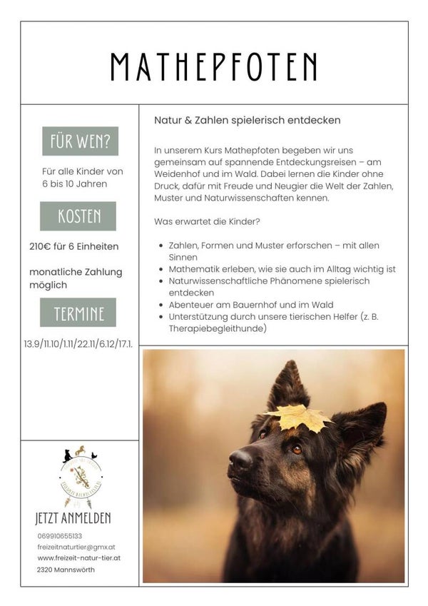 Mathepfoten 6 Einheiten