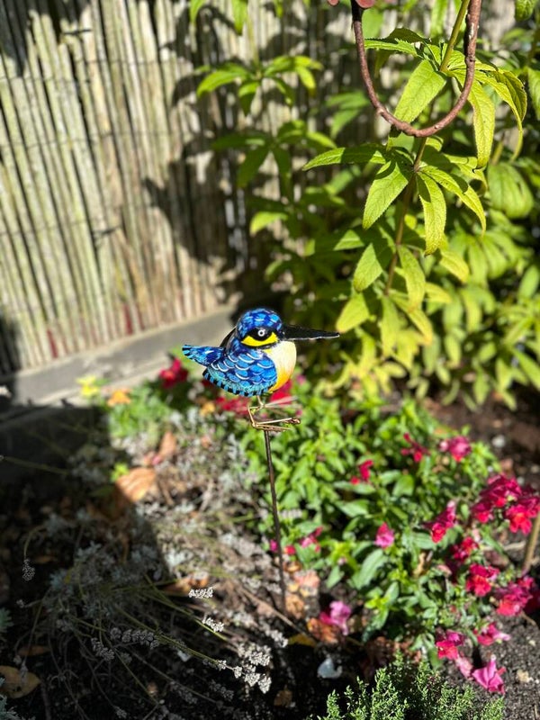 Tuinsteker IJsvogeltje S