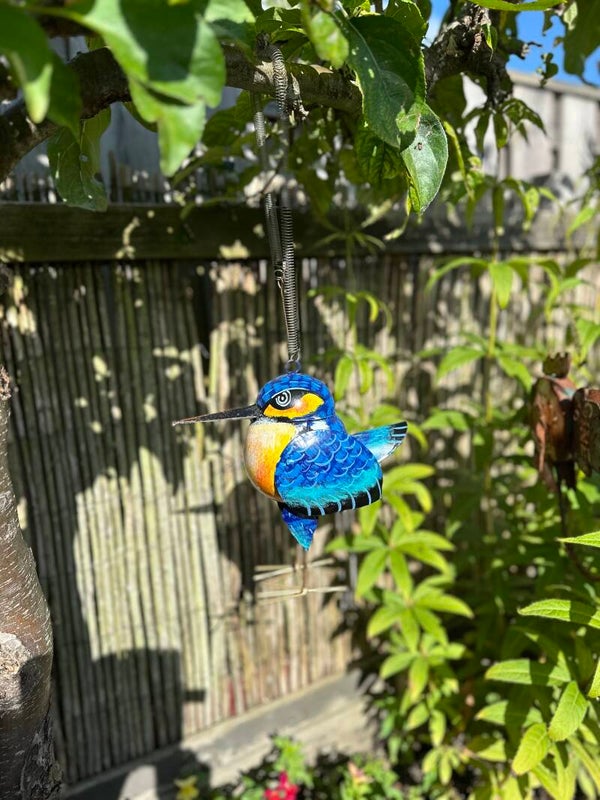 IJsvogel aan veer