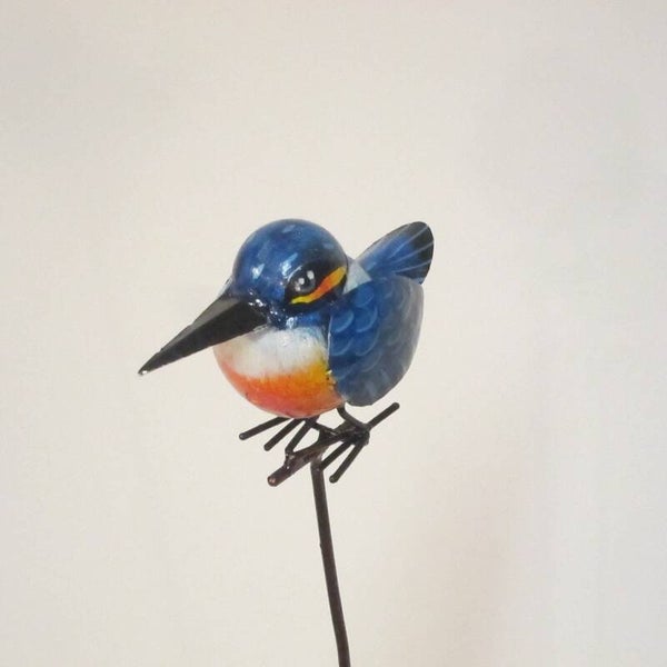 Tuinsteker IJsvogeltje M-S