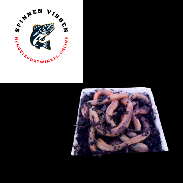DAUWWORMEN -ALLEEN IN WINKEL