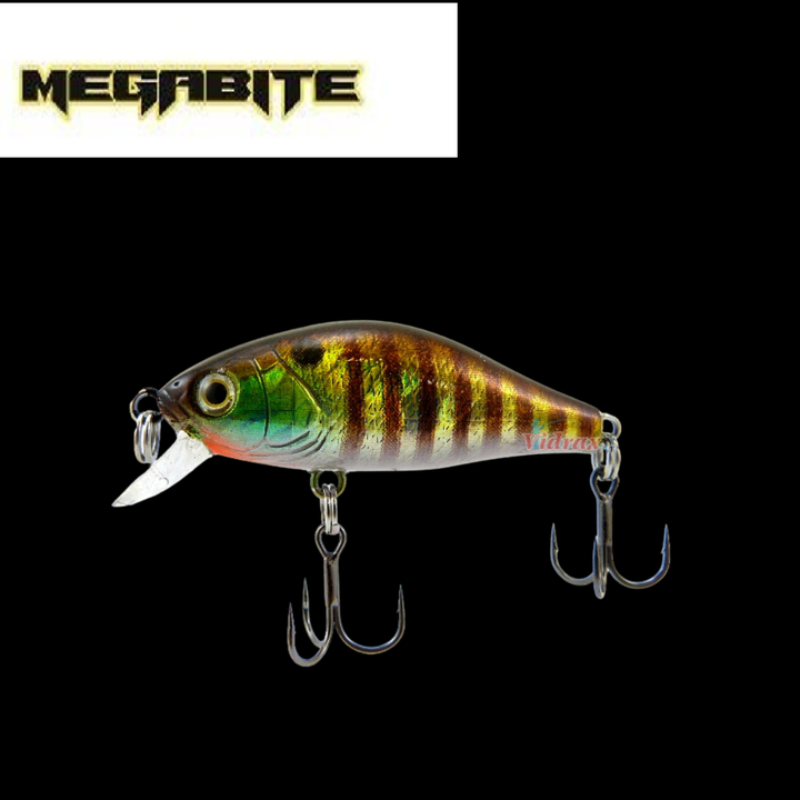 Megabite  Samba 100 SP-NO:22