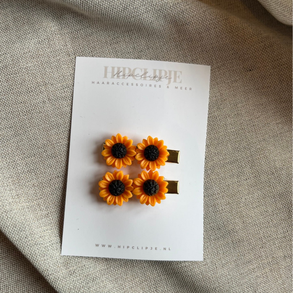 Alligator - Sunflower medium