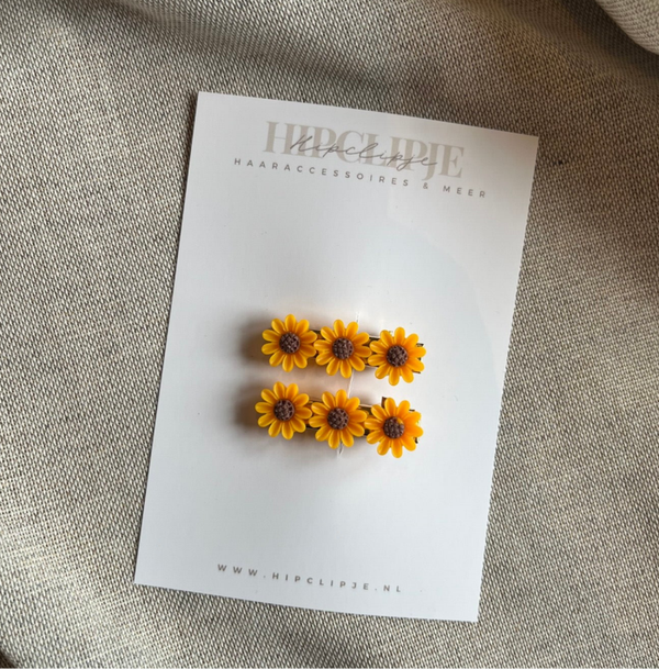 Alligator - Sunflower small