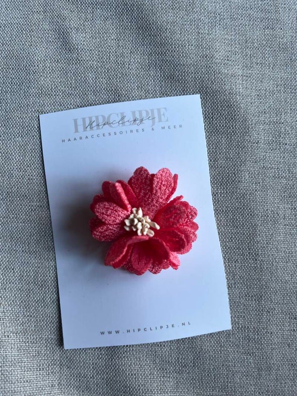 Bloem - Fuchsia flower