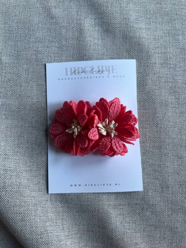 Nieuw 28 - Fuchsia flower