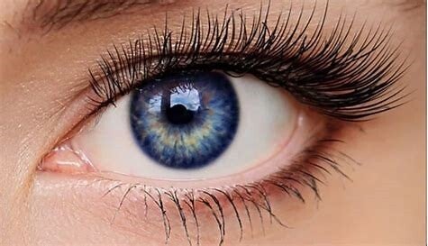 Workshop Augengesundheit