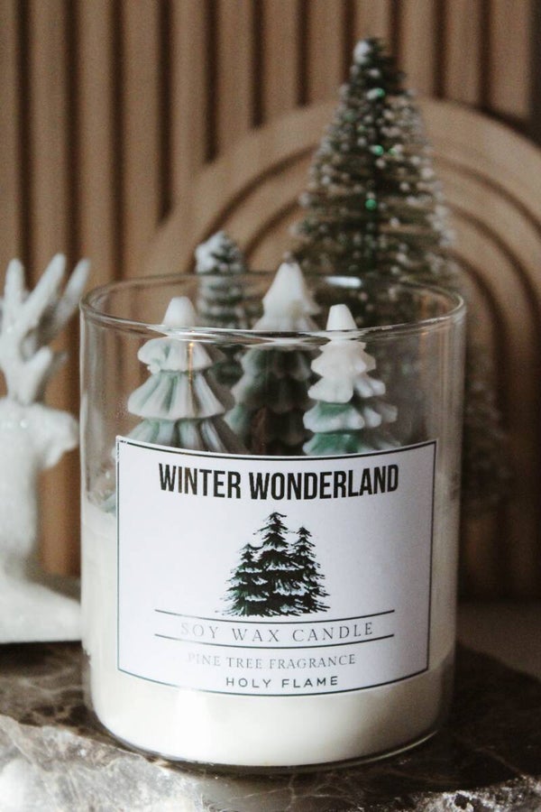 Winter wonderland