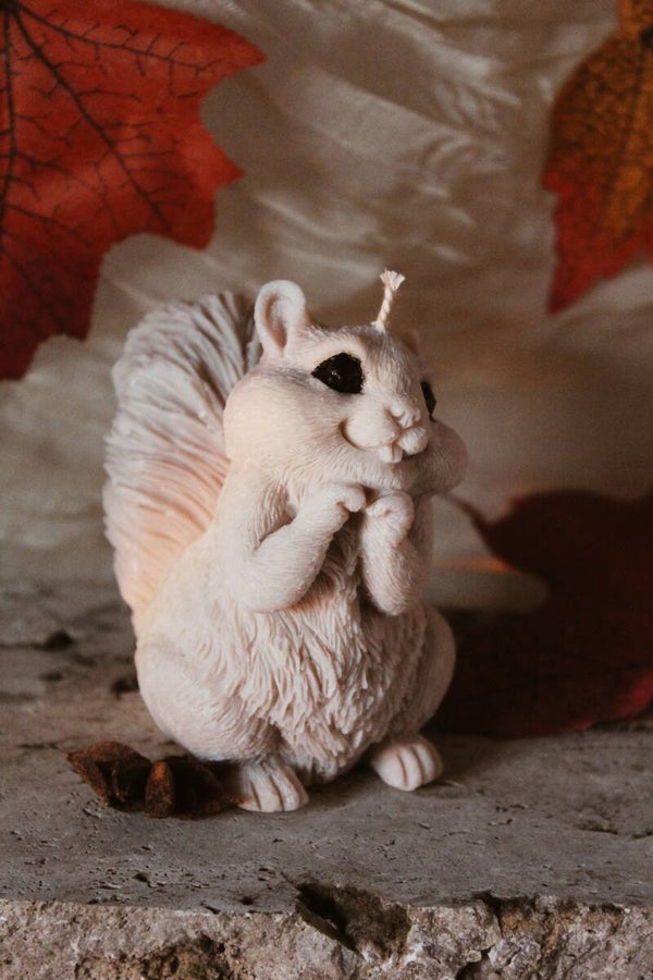 Eekhoorn