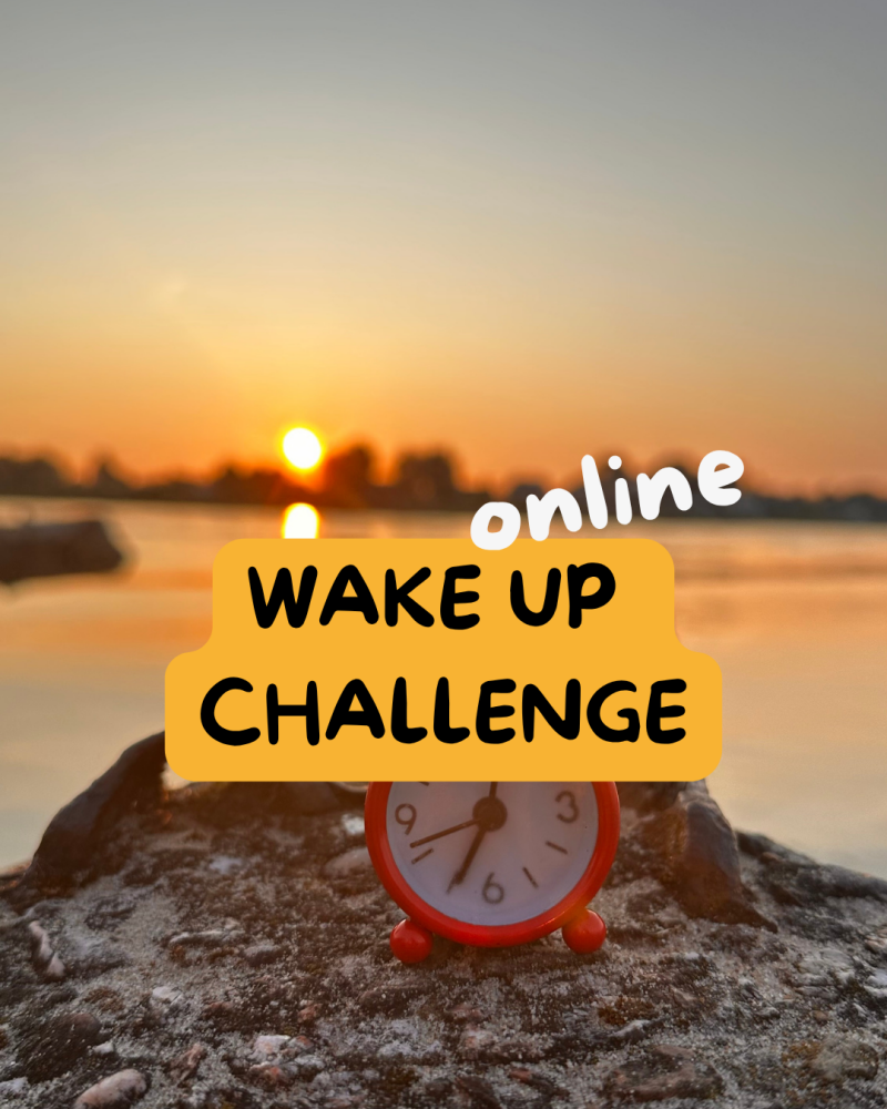 wakeup-standard.png