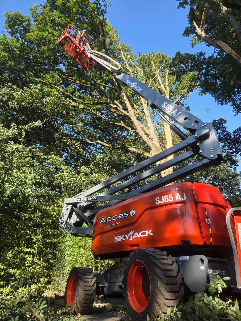 Élagage de sécurité chêne avec nacelle - GardeningandCo