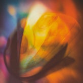 abstract-4-2.jpg
