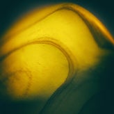 abstract-9616.jpg