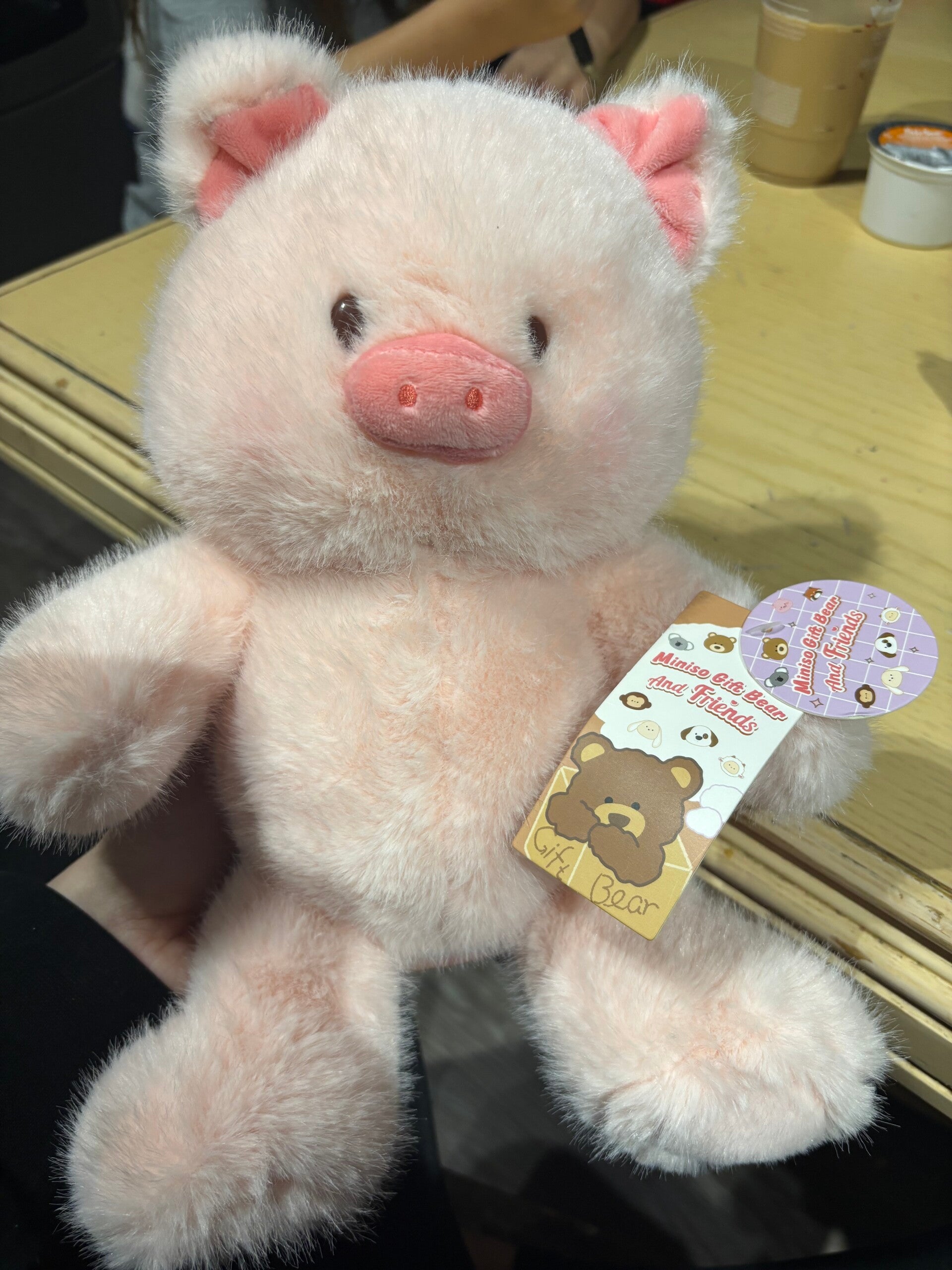 T- miniso