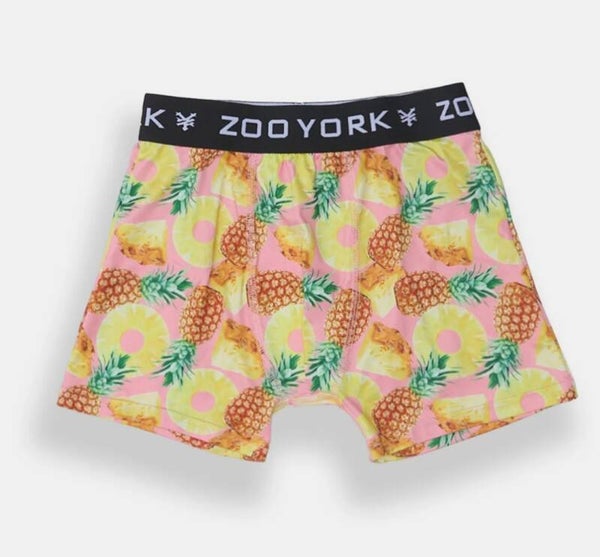 Boxer 16ans