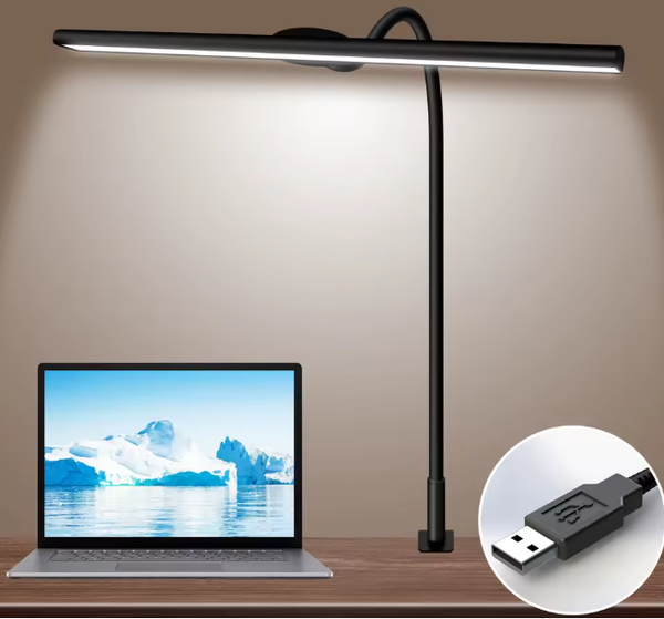 LED Desk Lamp for Office Home