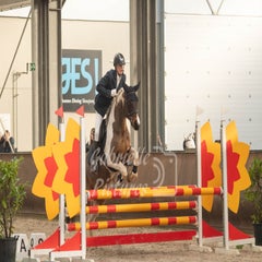 ccc_5128-standard-duibkg.jpg