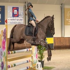 ccc_5464-standard-0jdz1w.jpg