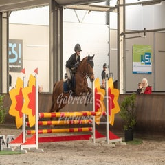 ccc_5596-standard.jpg