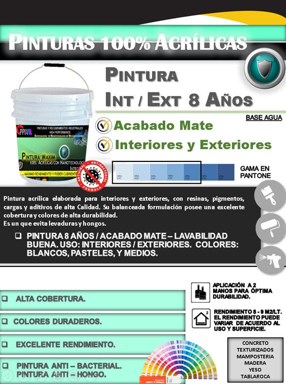 PINTURA MAXIM 8 AÑOS