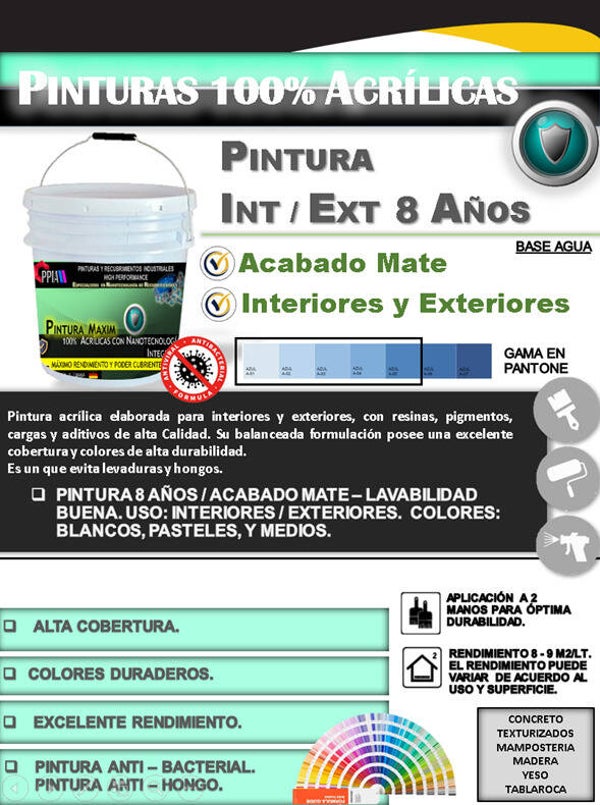 PINTURA MAXIM 8 AÑOS
