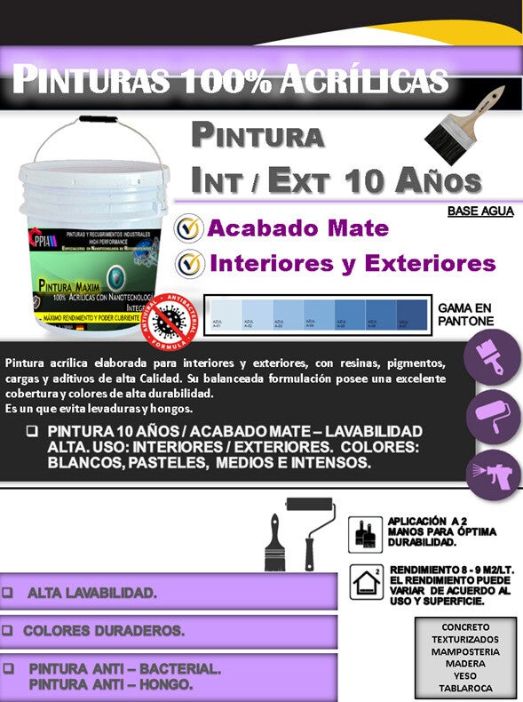 PINTURA MAXIM 10 AÑOS