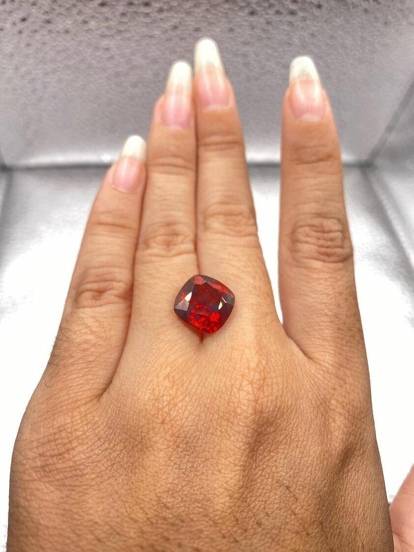 Amazing red garnet