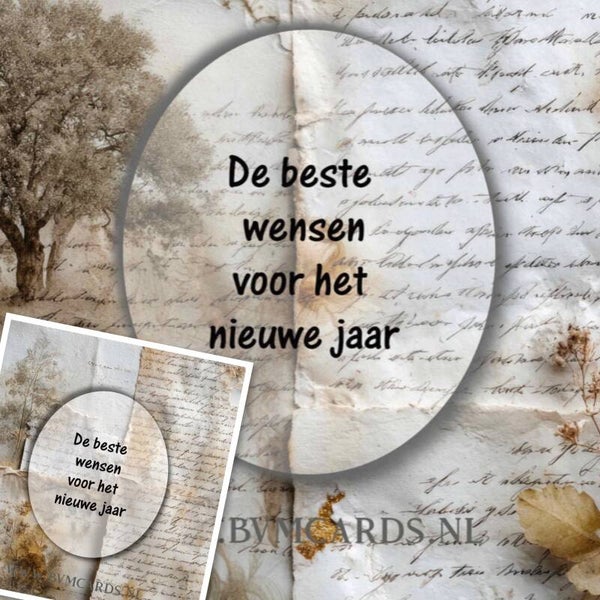 Set 24 Nieuwjaar