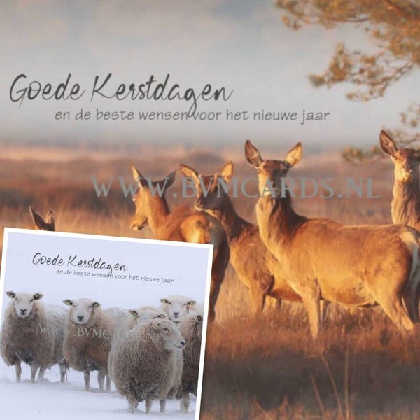 Set 10 Goede Kerst