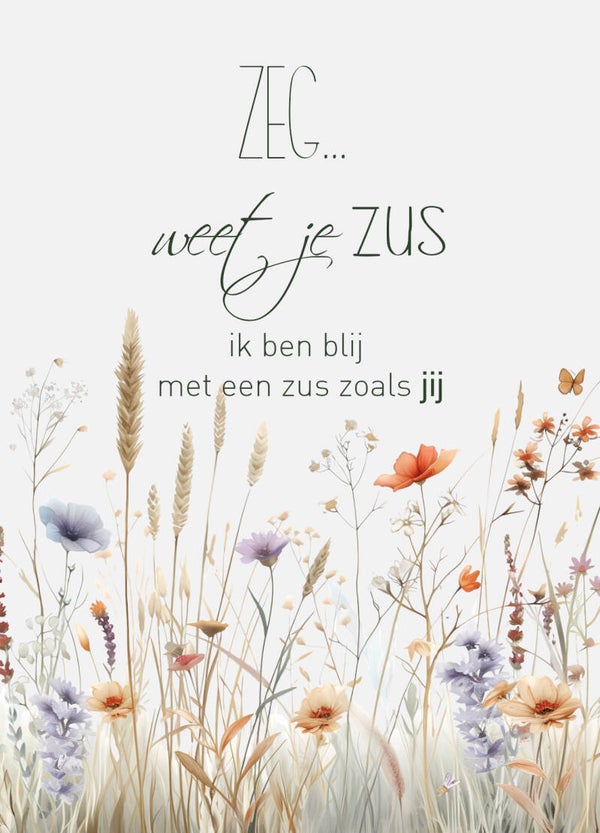 Ansichtkaart Zus
