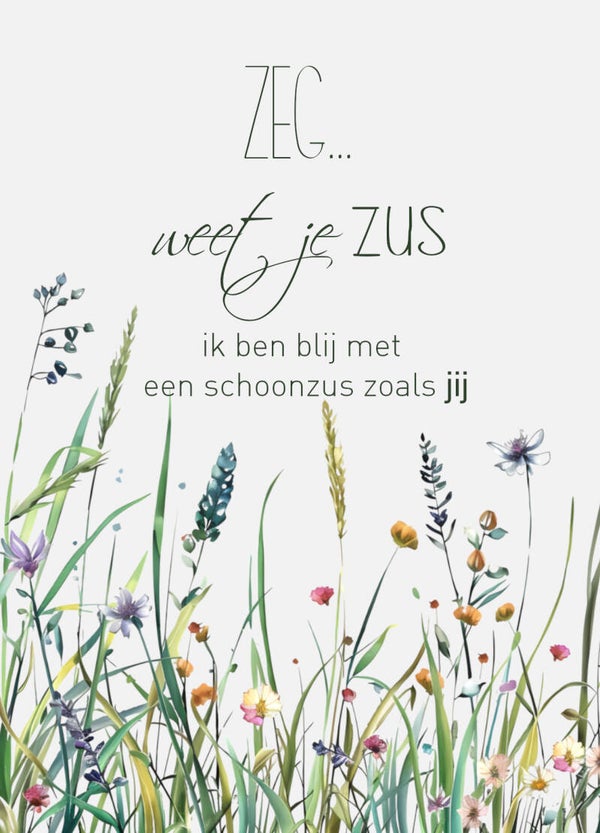 Ansichtkaart Schoonzus