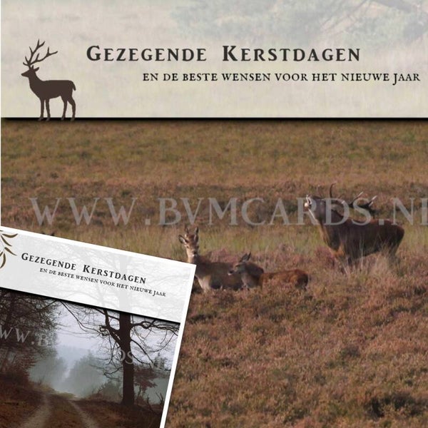 Set 16 Gezegende Kerst