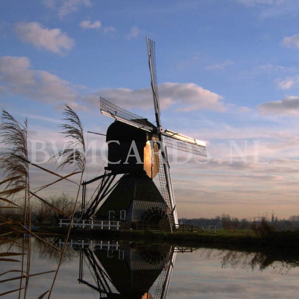 Wenskaart 11x11 - Molen