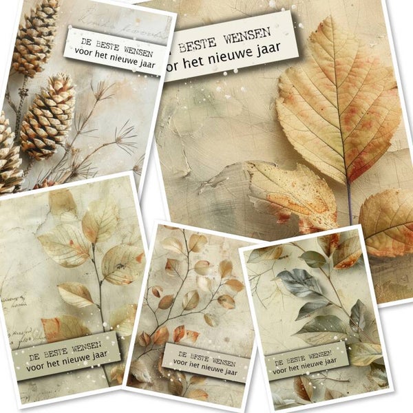 Set 7 Ansicht Assorti Nieuwjaar