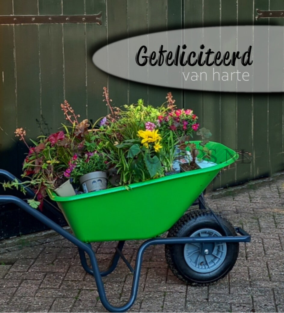 Wenskaart 12x13 - Kruiwagen