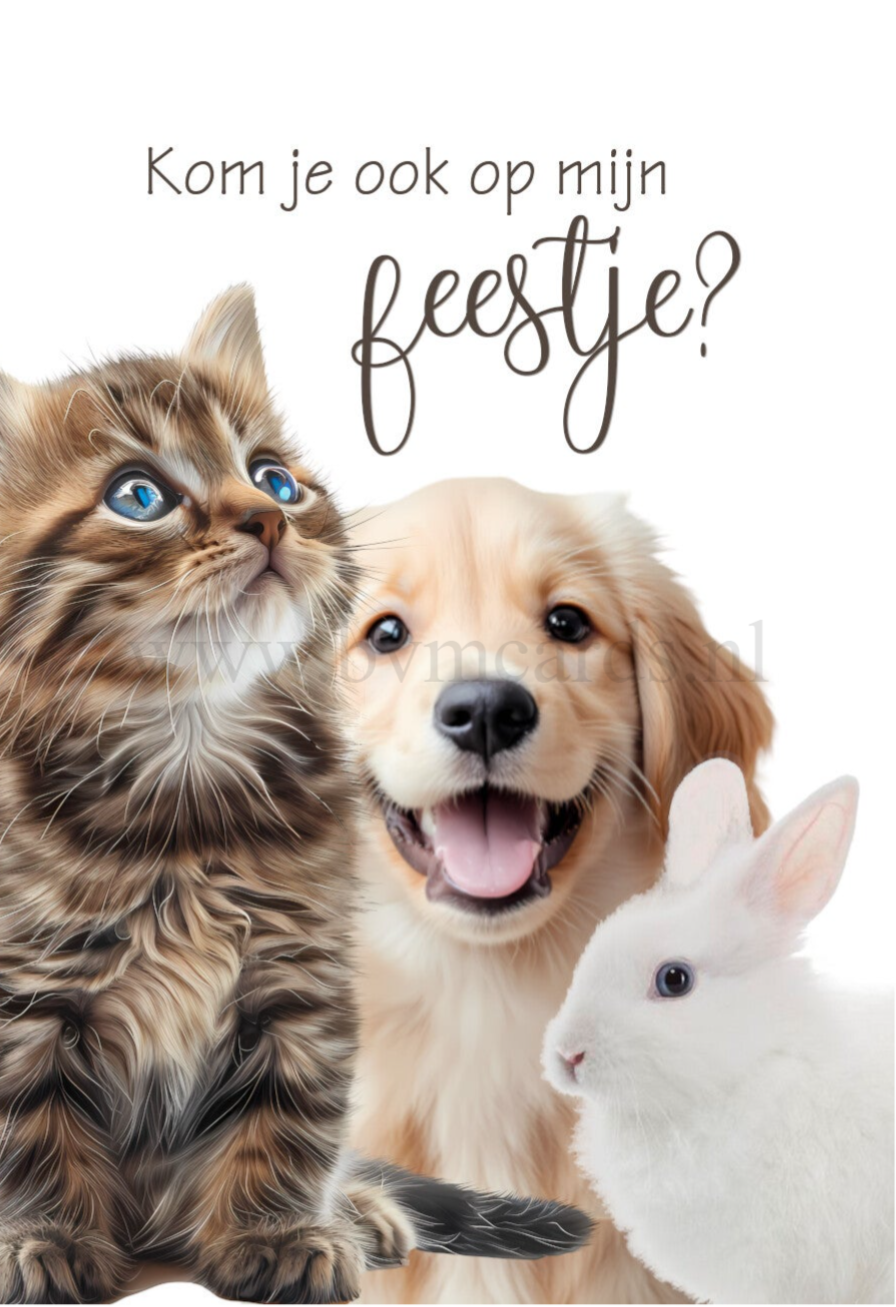 Kaartjes (5 stuks) Dieren