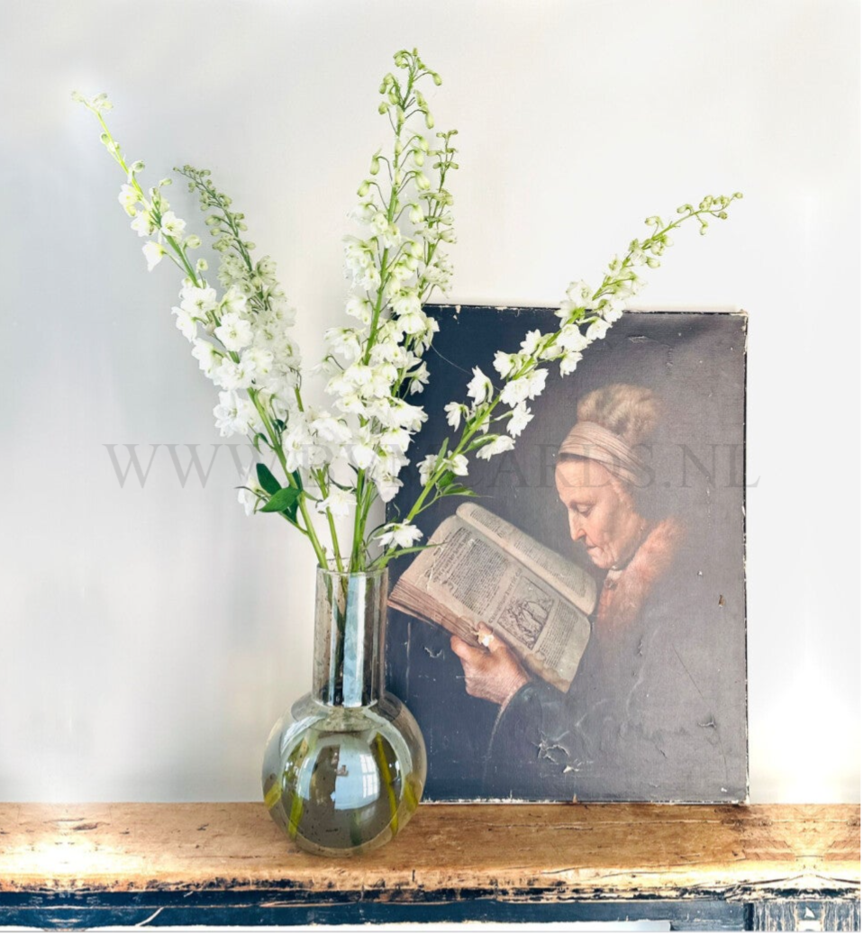 Wenskaart 12x13 - Lezen