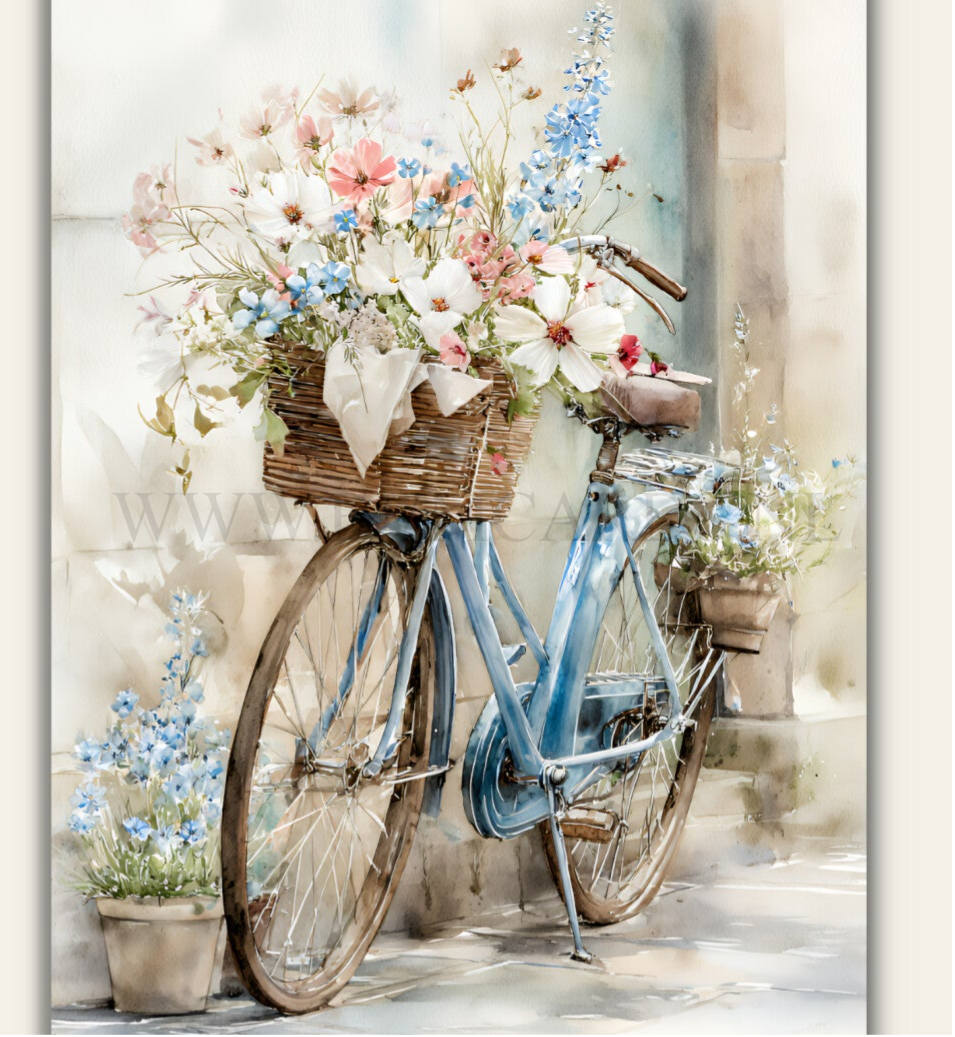 Wenskaart 12x13 - Fiets