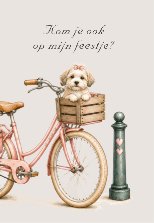 Kaartjes (5 stuks) Fiets