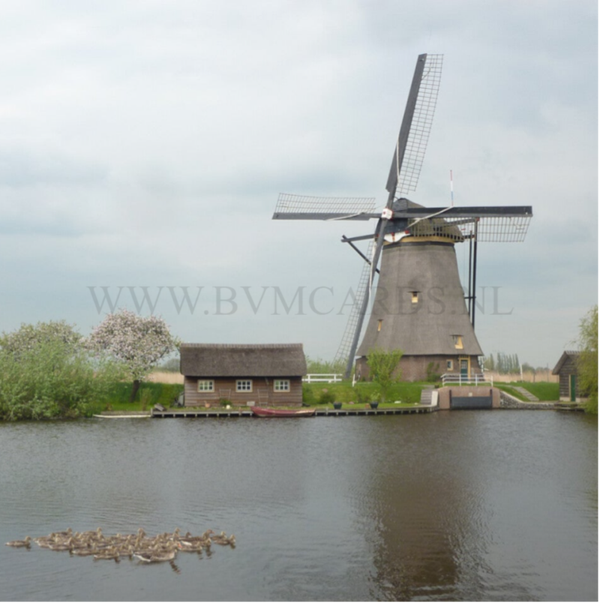 Wenskaart 11x11 - Molen