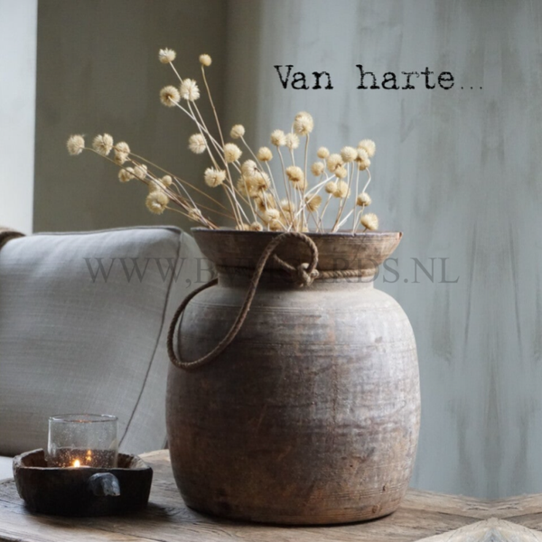 Wenskaart 11x11 - Pot terra