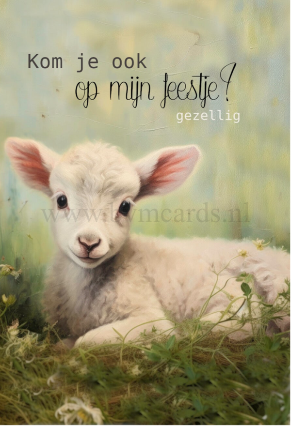 Kaartjes (5 stuks) Lammetje