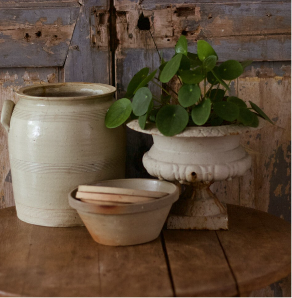 Wenskaart 11x11 - Pot met groen