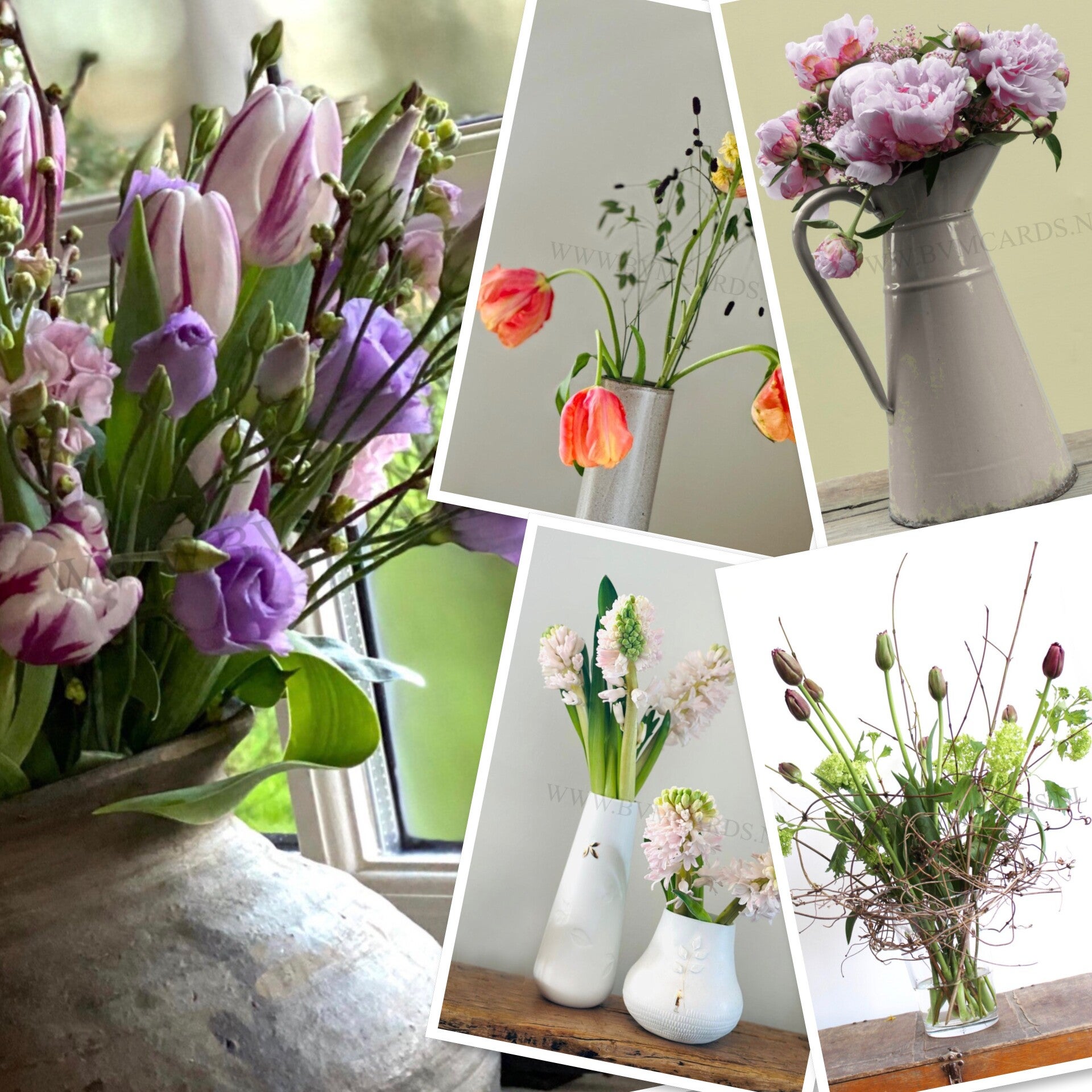 Set G1 Ansicht Blanco