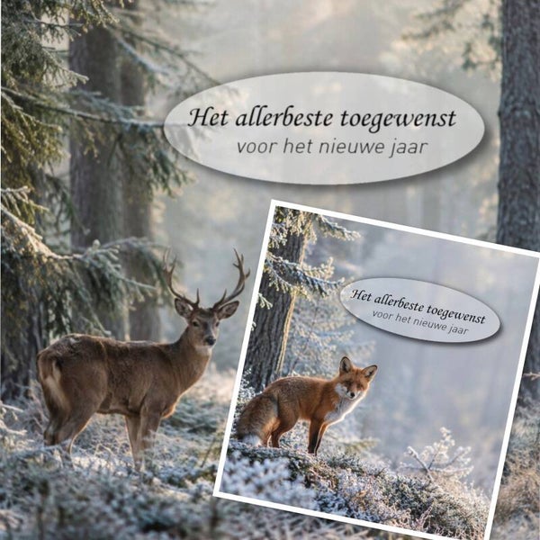 Set 17 Het állerbeste
