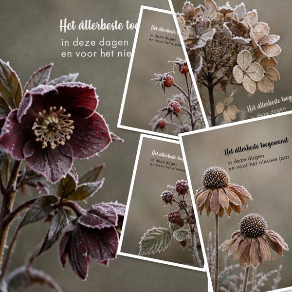 Set 33 Ansicht - állerbeste wensen