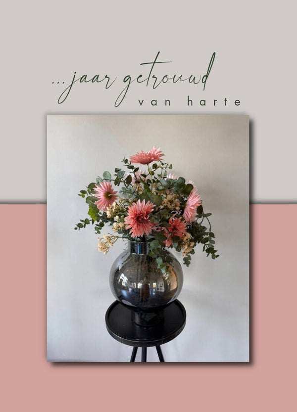 Set 11 Ansicht met kraftenvelop