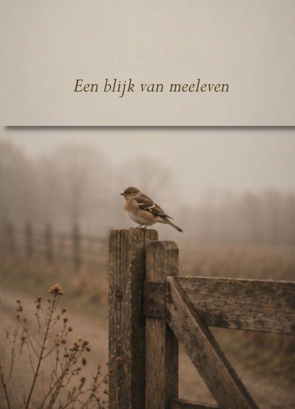 Set 11 Ansicht met kraft envelop