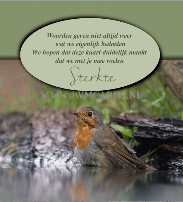 Wenskaart 12x13 - Roodborst