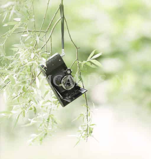 Wenskaart 12x13 - Camera ACTIE